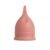 IA4764 Coletor Menstrual Feminist- 20 ml